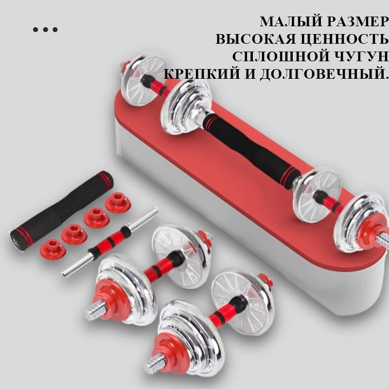 Набор гальванизированных гантелей Статуя Свободы